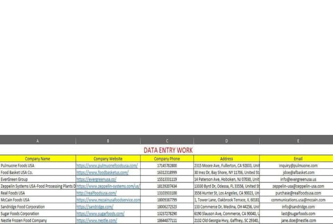 expert data entry service